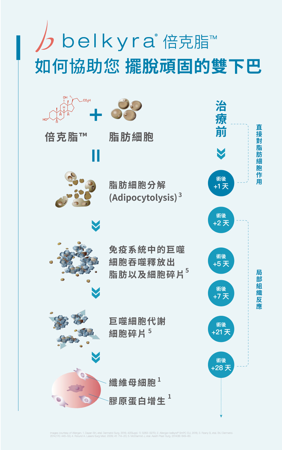 雙下巴的剋星 - 倍克脂 雙下巴的剋星 - 倍克脂