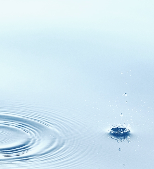 關於水雲 關於水雲