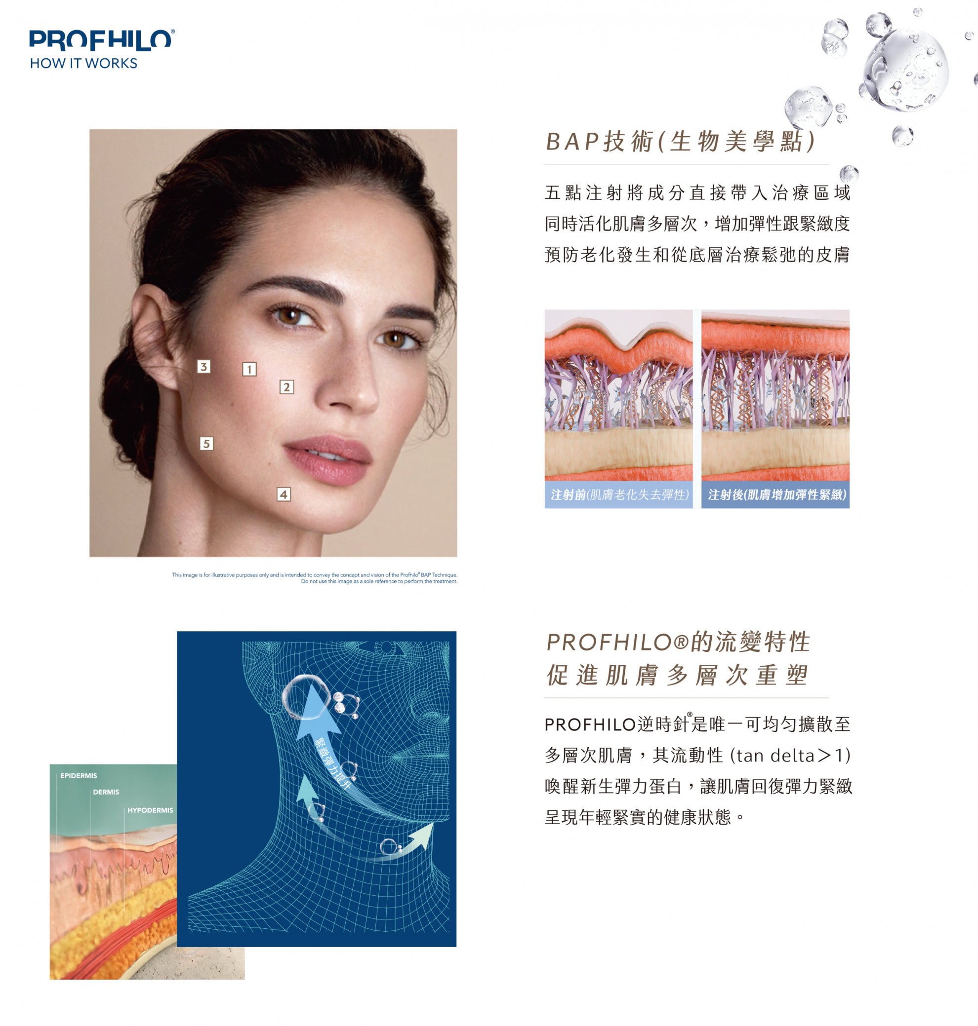 【生物重塑新美學】PROFHILO 逆時針：從肌底啟動 膠原蛋白與彈力蛋白的再生能力